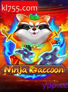 NinjaRaccoon